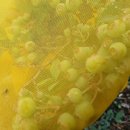 서광농장 이미지