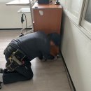 그린라인대전충남센터