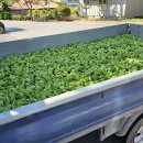 천북농업협동조합 이미지