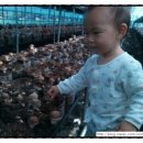 안대리농장 이미지