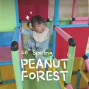 베스트어린이집 | 20개월 아기 봄옷 쇼핑 | 피넛포레스트 내돈내산 어린이집 등원룩 외출복 후기