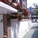 역촌-018 이미지