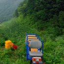 대야농장 이미지