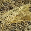 지푸라기 이미지