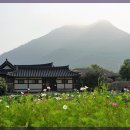 자연과한의원 수원 이미지