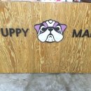 퍼피마마 이미지