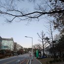 푸디스트(주)서울종합방재센터 | 서울미래인재아카데미 2기 | 복지/여성 교육 참여 후기 서울시 미래청년기획단
