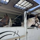 입동목장 이미지