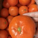 김대식농장 이미지