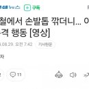 지하철서 깎은 손발톱을 먹은 남성 이미지