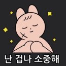 1박 2일 나홀로 동해 여행기 겨울바다 ENFP의 동해여행코스 추천