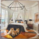 하나행운켄넬 | 향남 유기견보호센터와 함께한 달이 그리고 우리의 신중한 새 출발