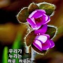 좋은문구 이미지