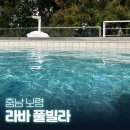 충남 보령 풀빌라 독채 펜션 라바 풀빌라 후기, 숙박 페스타 할인