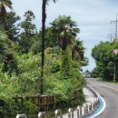 효돈로,일주동로 이미지