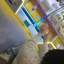 뽑짱 이미지
