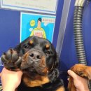 올리스 24(마산) 이미지