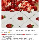 샌드블라썸 이미지