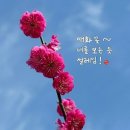 오늘,설레임