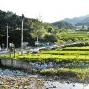 새마을한우단지 이미지