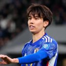 리즈메디칼 이미지