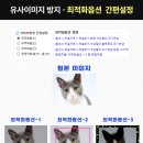 마스타세탁 이미지