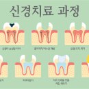 연세닥터강치과의원 이미지
