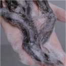 폼 | 로게인폼여성 후기 내돈내산 돌직구