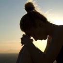 늦게 피는 꽃 이미지