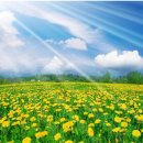 브레인수학학원 이미지