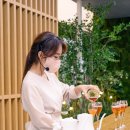 코코시에나 이미지
