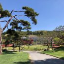 오션힐스청도골프클럽 이미지