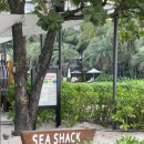 모닝비치 이미지