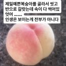럭키드림몰 | 250725 뮤직뱅크 엔시티드림 사녹에 다녀왔어요 뮤뱅 다신안간다 ㅗ