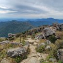 지리산 ＜중산리~천왕봉＞ 이미지