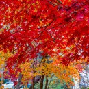 청계산수변공원 이미지