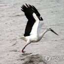 J0094 이미지