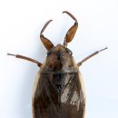 한수중학교 이미지