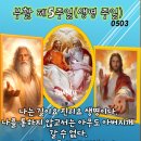 2026년 5월 3일 부활 제5주일(생명 주일)＜나는 길이요 진리요 생명이다.＞ 이미지