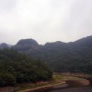 나무향기펜션 이미지