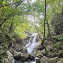 서도리 마을진입로 8 | 지리산 (칠선계곡-천왕봉-장터목대피소-백무동) 원점회귀 산행후기
