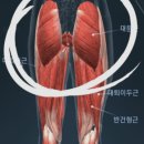 브이 피트니스 이미지