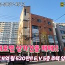 대경아파트앞 이미지