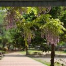 금당어린이집 이미지