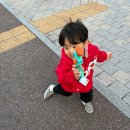 배곧정형외과의원 | 배곧 정형외과 아기 손에 가시 박혔을때 병원 다녀온 후기