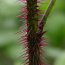 소우농장 이미지