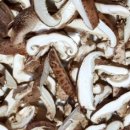 박준호농장 이미지