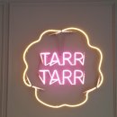 멍냥이발소 이미지