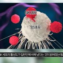 반에이치의원 이미지