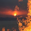 정남진한옥민박 이미지